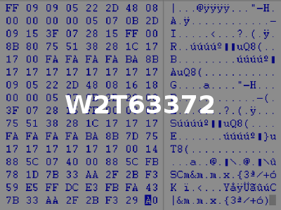 W2T63372