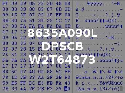 8635A090L DPSCB W2T64873