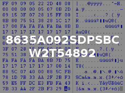 8635A092SDPSBC W2T54892
