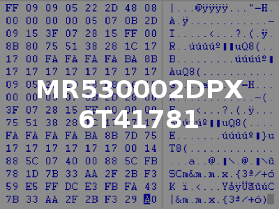 MR530002DPX 6T41781