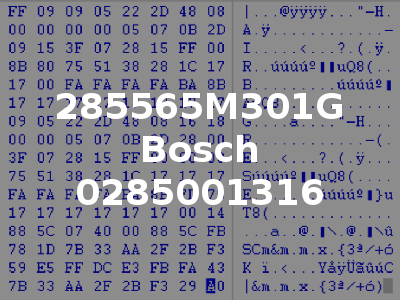 285565M301G Bosch 0285001316