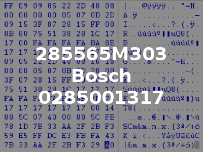 285565M303 Bosch 0285001317