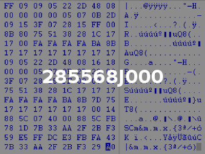 285568J000