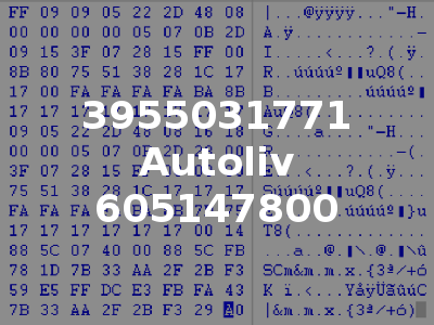 3955031771 Autoliv 605147800