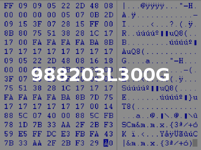 988203L300G