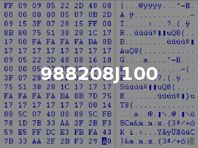 988208J100