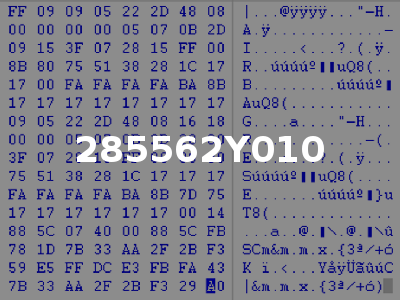 285562Y010