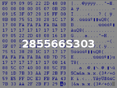 285566S303