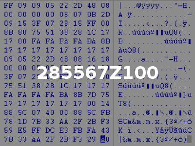 285567Z100