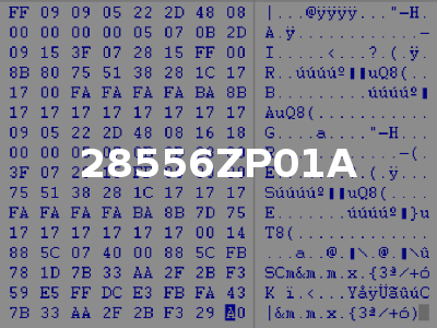 28556ZP01A
