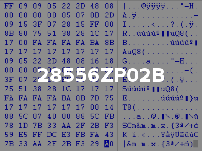 28556ZP02B
