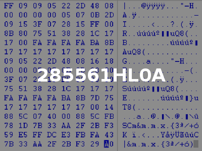 285561HL0A