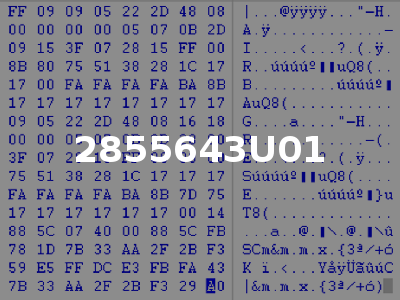 2855643U01