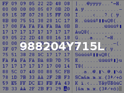 988204Y715L