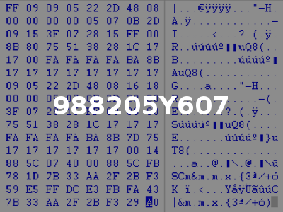 988205Y607