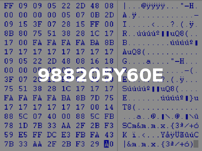 988205Y60E