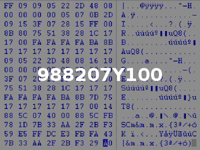 988207Y100