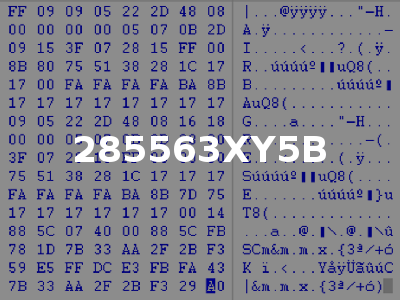285563XY5B