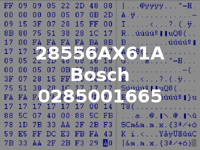 28556AX61A Bosch 0285001665