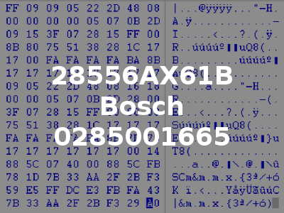 28556AX61B Bosch 0285001665