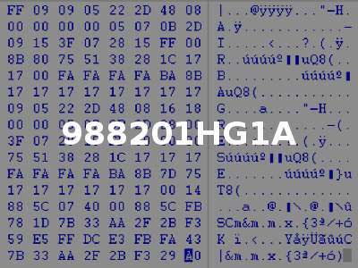 988201HG1A