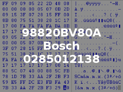 98820BV80A Bosch 0285012138