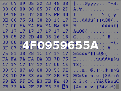 4F0959655A