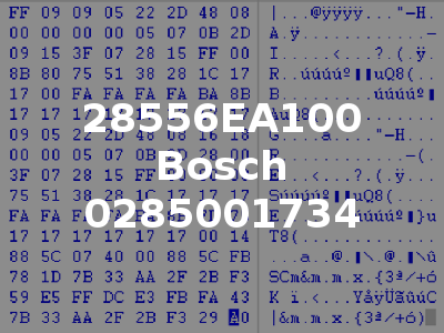 28556EA100 Bosch 0285001734