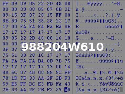 988204W610