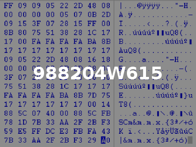 988204W615