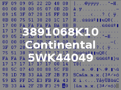 3891068K10 Continental 5WK44049