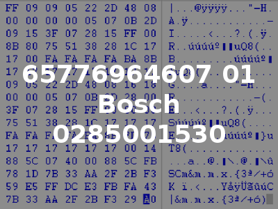 65776964607 01 Bosch 0285001530