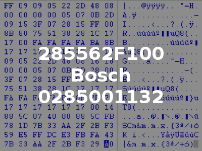 285562F100 Bosch 0285001132