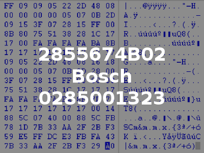 2855674B02 Bosch 0285001323
