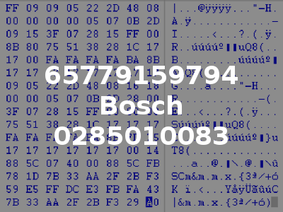 65779159794 Bosch 0285010083