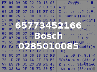 65773452166 Bosch 0285010085