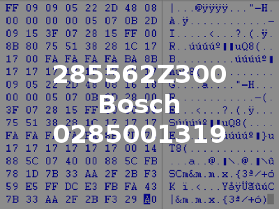 285562Z300 Bosch 0285001319