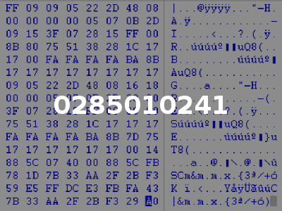 0285010241
