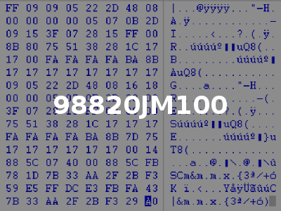 98820JM100