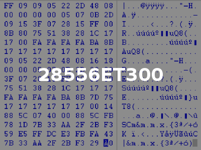 28556ET300