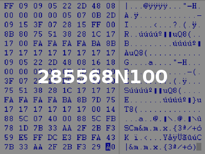 285568N100