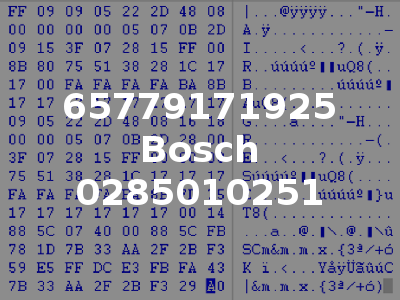 65779171925 Bosch 0285010251
