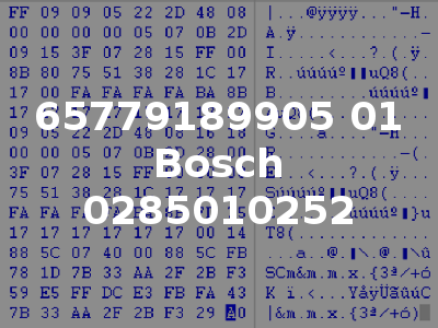 65779189905 01 Bosch 0285010252