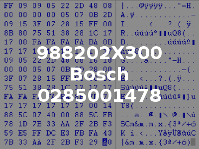 988202X300 Bosch 0285001478
