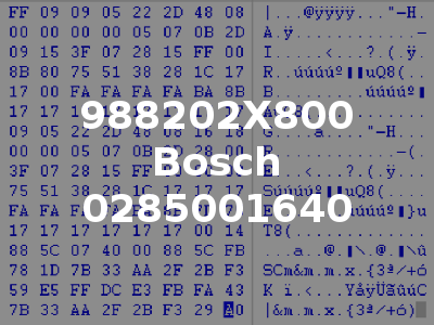 988202X800 Bosch 0285001640
