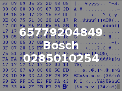 65779204849 Bosch 0285010254