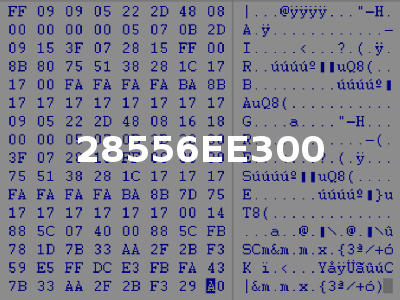 28556EE300