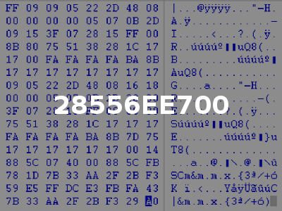 28556EE700