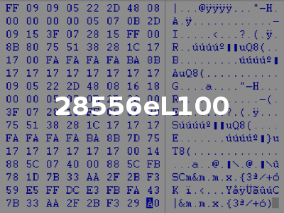 28556eL100