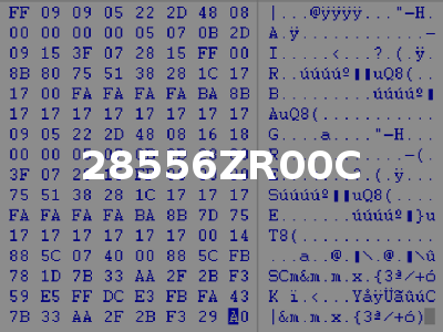 28556ZR00C